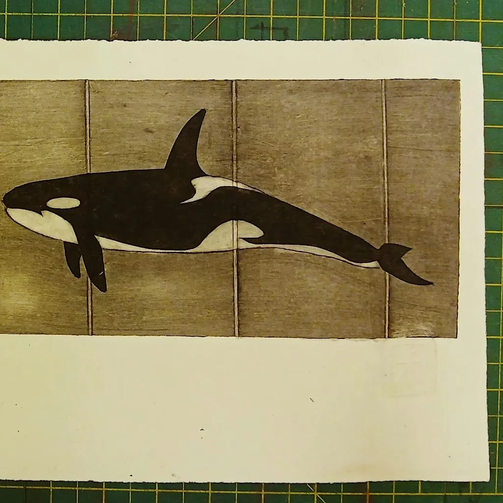 Printing with Tetra Pak with John COAST Funded by Swansea Council