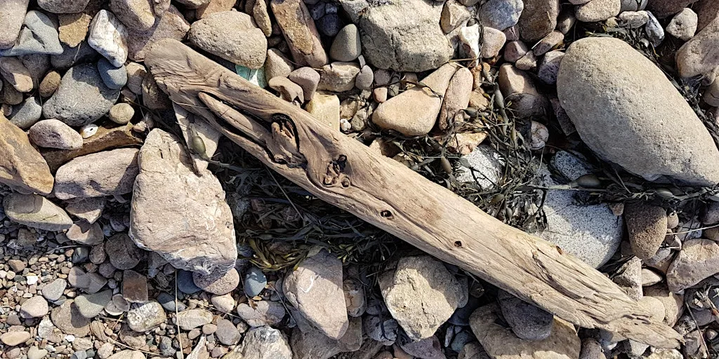 An Introduction to working with wild-wood