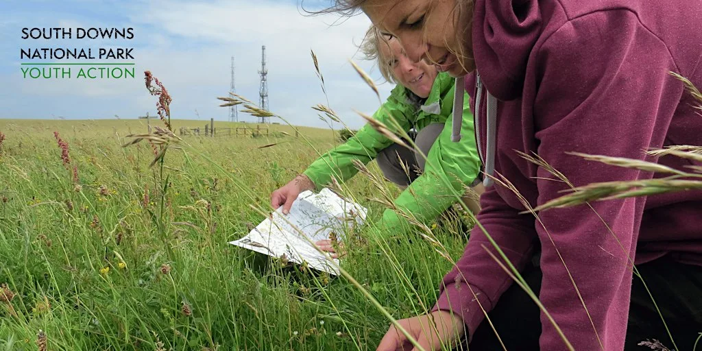 South Downs Youth Action: Seven Sisters Nature Recovery - November at Seven Sisters Country Park Visitor Centre