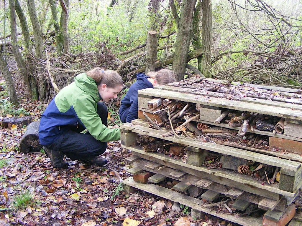 Teen Rangers - Sutton Courtenay, Saturday 7 November at Sutton Courtenay Environmental Education Centre