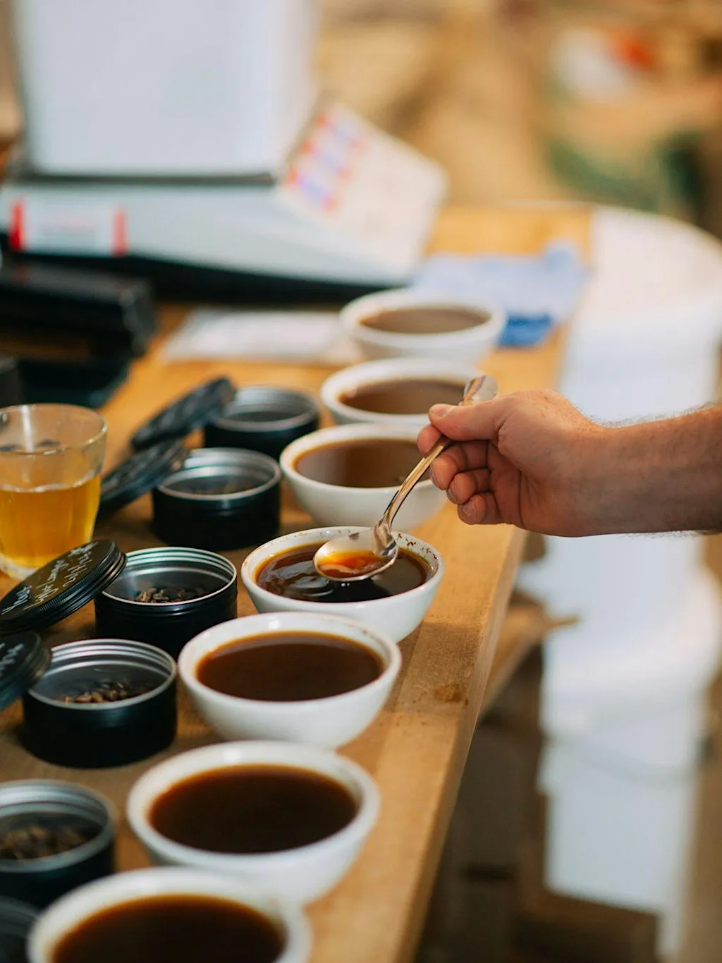 The Fermentation Project Coffee Cupping at The Lost Barn Coffee Roasters at Lost Barn Coffee Roasters