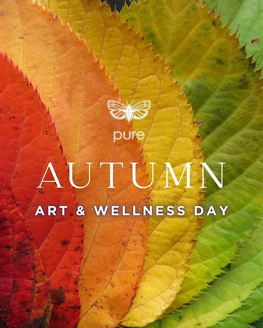 Discover the alchemy of colour from pigment to painting.