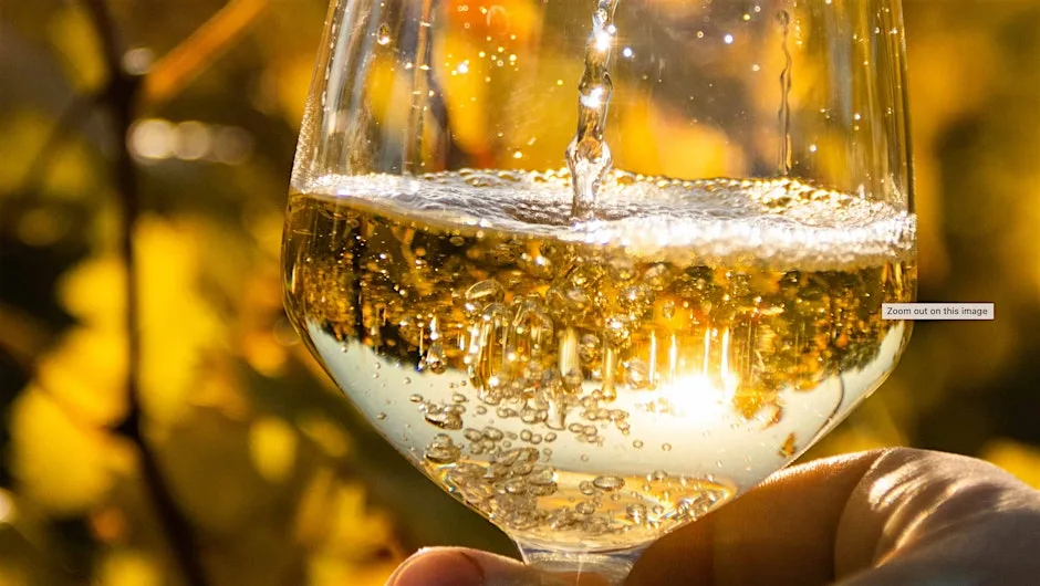 Too Cool For School: Modern Wines to Rival The Classics at Theatre of Wine