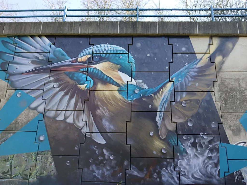 Trent Rivers Trust - SBEN Led Walk