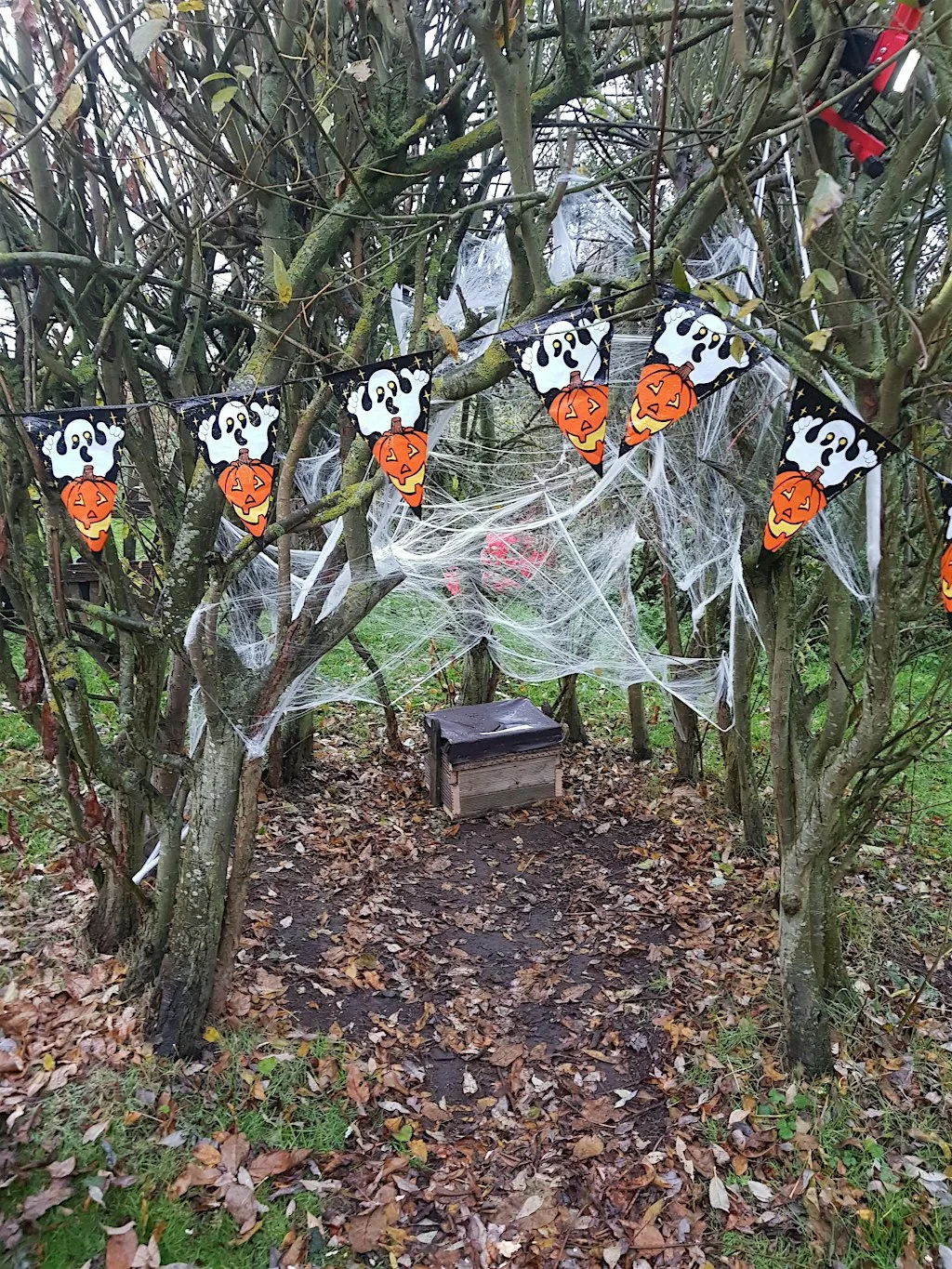 Spooky Masks and Crafts at Ryton Pools Country Park