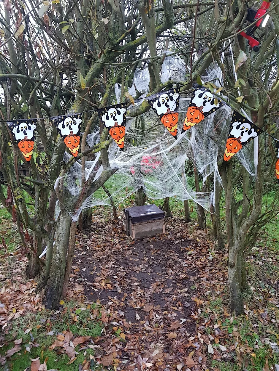 Spooky Masks and Crafts at Ryton Pools Country Park at Ryton Pools Country Park