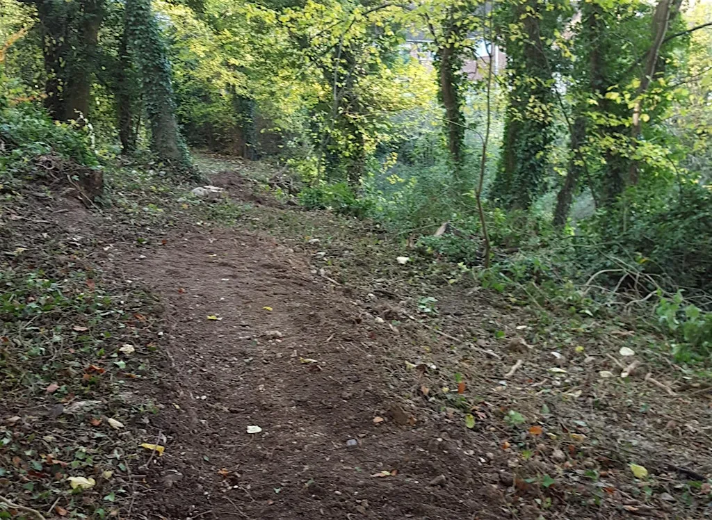 Green Thursday at Highfield and Hangingcroft Wood at Micklefield Community Centre