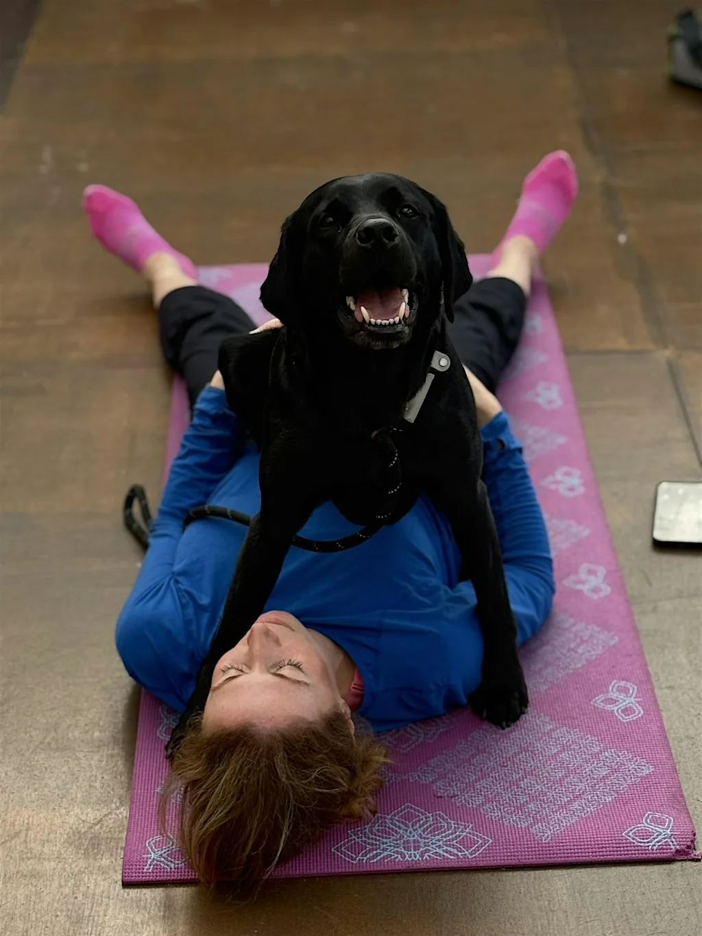 Paws & Reflect .. yoga with your dog at Meadowpark hotel