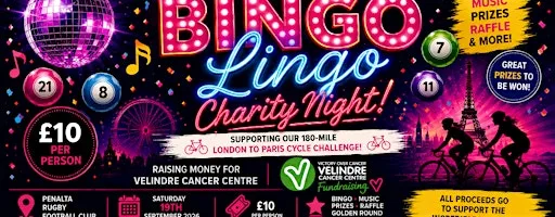 Bingo Lingo Charity Night