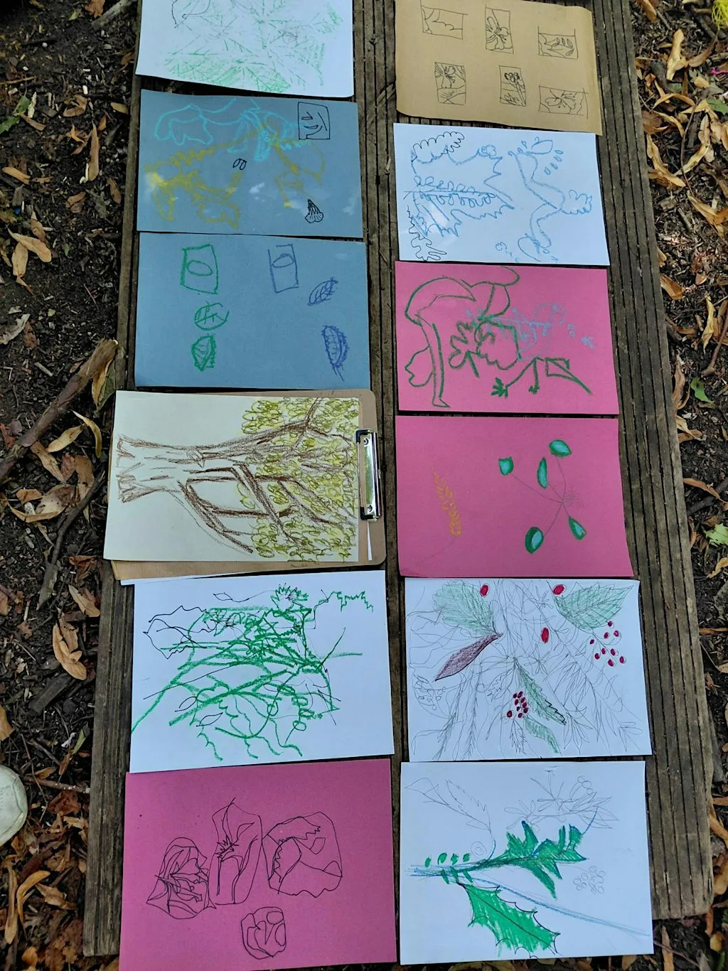 The Creative Woods at Damhouse at Damhouse Astley