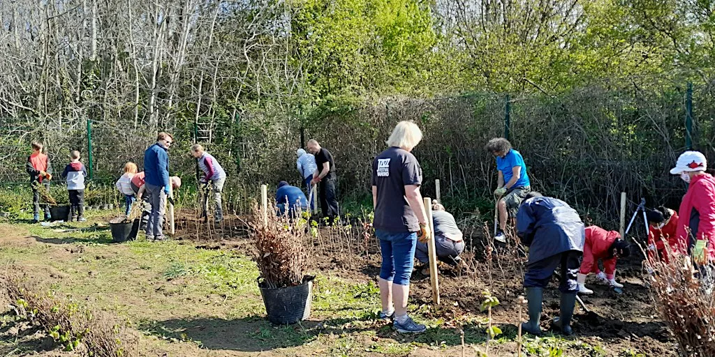 Forest Farm Tree Nursery Volunteering