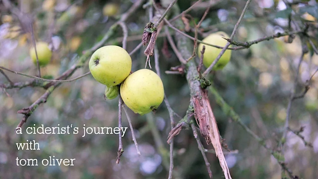 Documentary Film Premiere : A Ciderist's Journey with Tom Oliver at Lumiere Romford Cinema