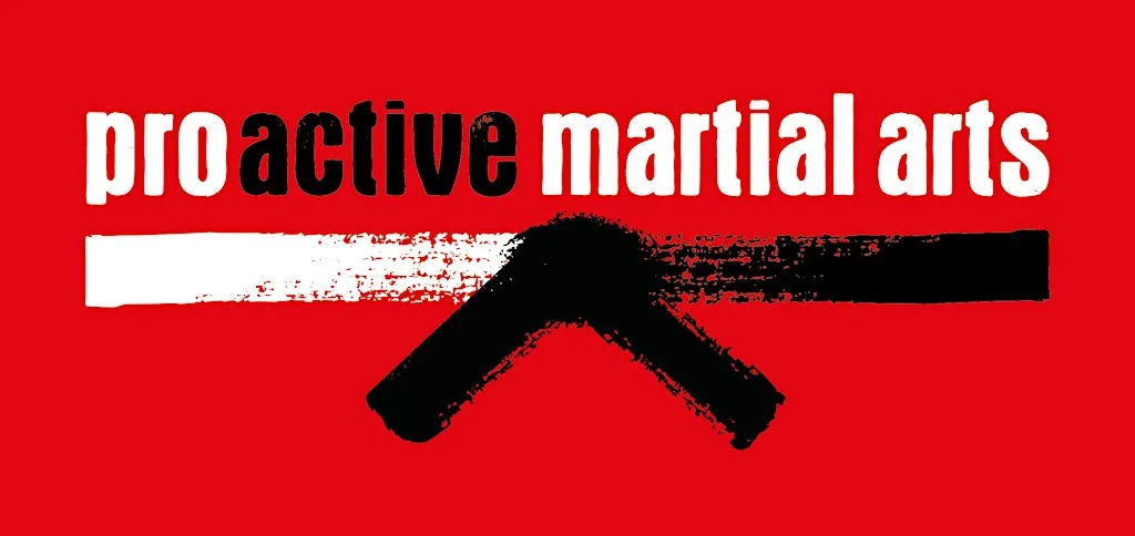 ProActive Martial Arts Gerrards Cross 3rd Anniversary Party