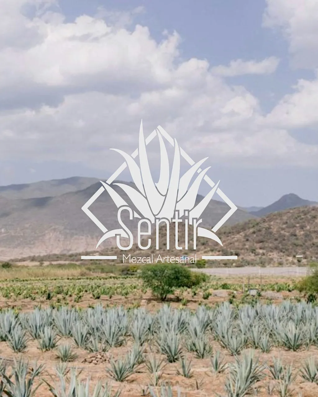 Miércoles Mezcal w/ Sentir Mezcal