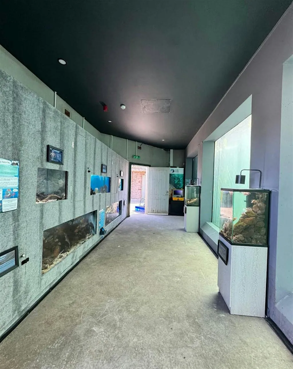 St Abbs Aquarium X Scapa Joe Beach Art Workshop