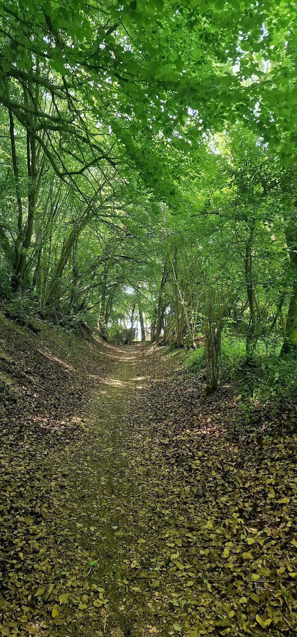 Muslim Meaningful Hikes - Low Scrubs, High Scrubs & Little Hampden Loop at Coombe Hill Car Park