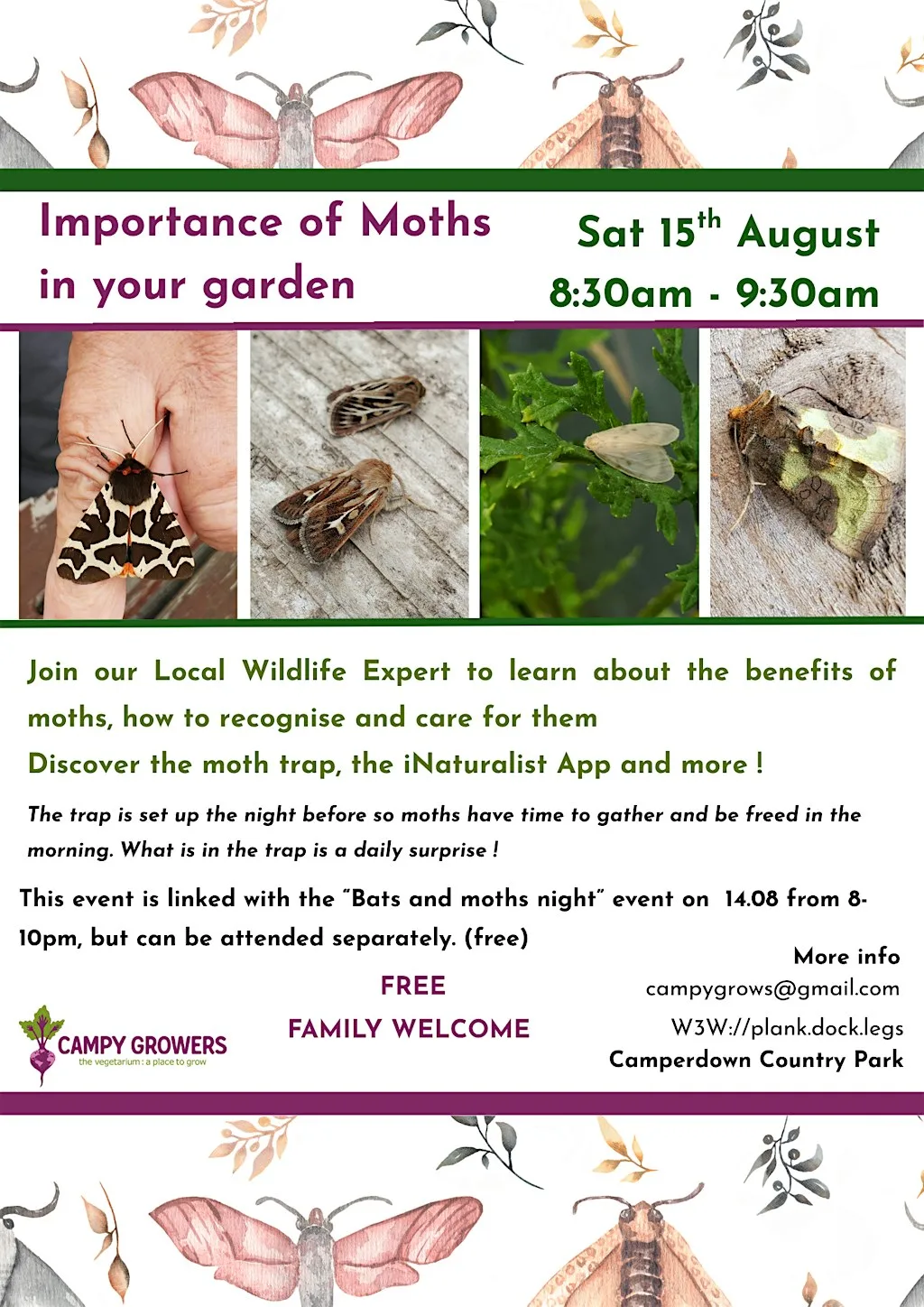 Importance of Moths in your garden at Campy Growers