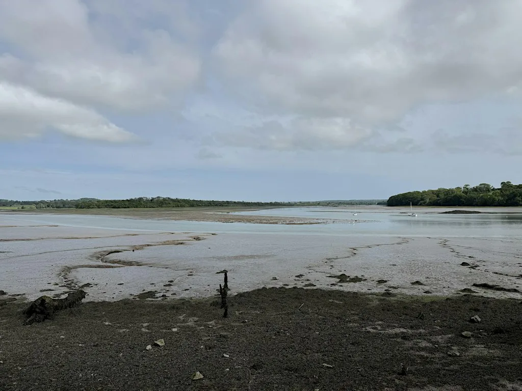 Gweithdy Barddoniaeth Afon Cleddau Poetry Workshop - Cymbrogi, Lawrenny