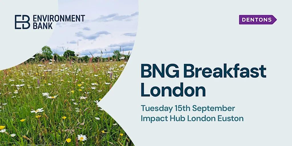 BNG Breakfast - London at Impact Hub London Euston