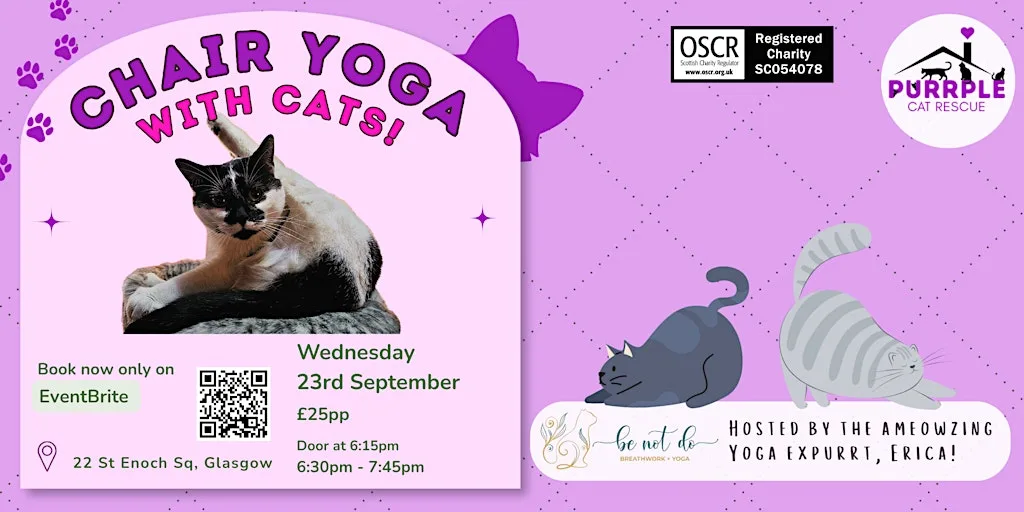 Chair Yoga with Cats! at Purrple Cat Rescue