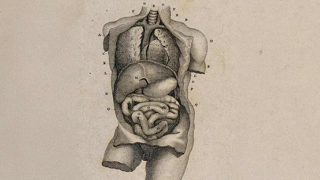Go with your gut at 10-11 Carlton House Terrace