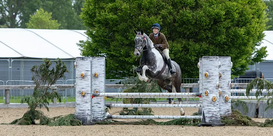World Horse Welfare Masterclass with Yogi Breisner - Sun 7 Feb 27 at SNEC