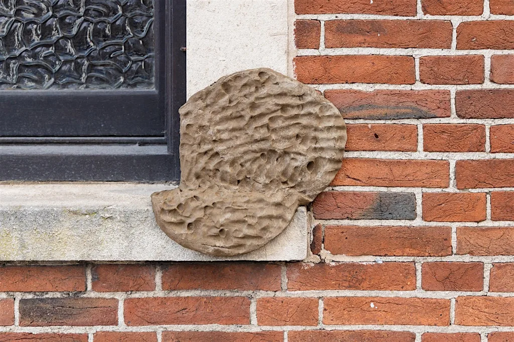 On Lost Ground: Workshop with James Thompson at GLOAM