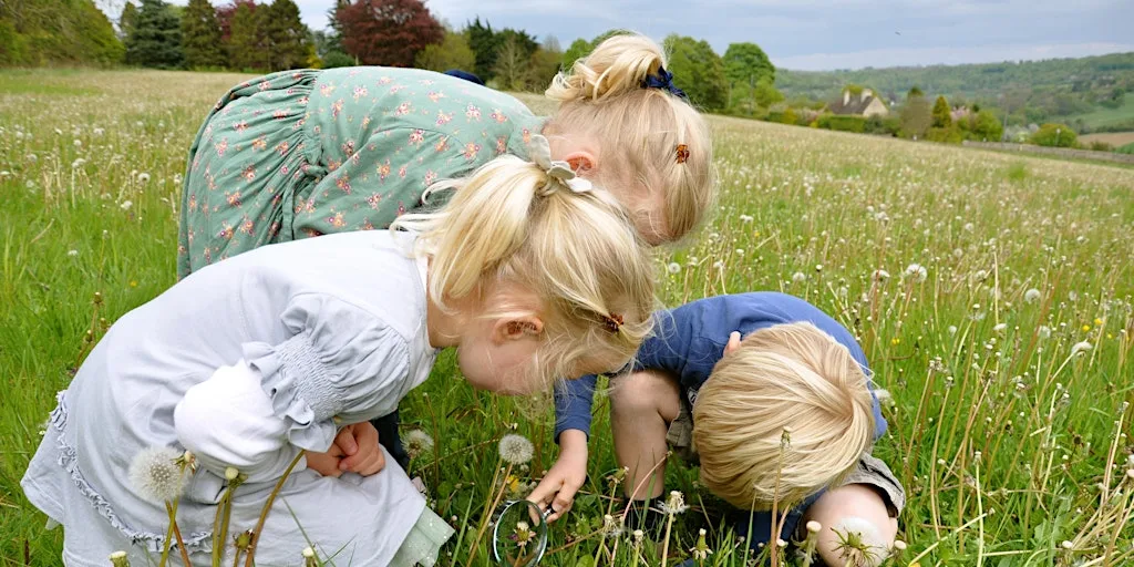 Monday on the Meadow at Bartonsham Meadows