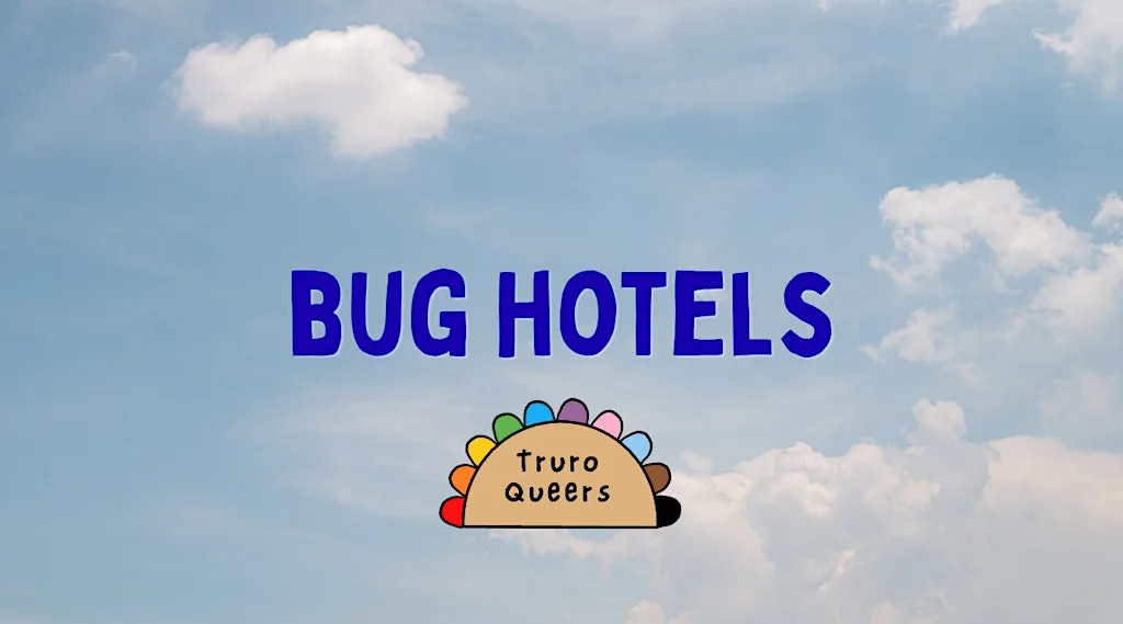 Wellbeing Sessions: Bug Hotel at Tehidy Country Park, North Cliffs Car Park