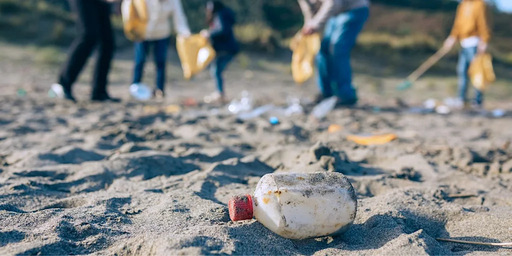 Sáile and Galway Beach Cleaners - Beach Cleanup