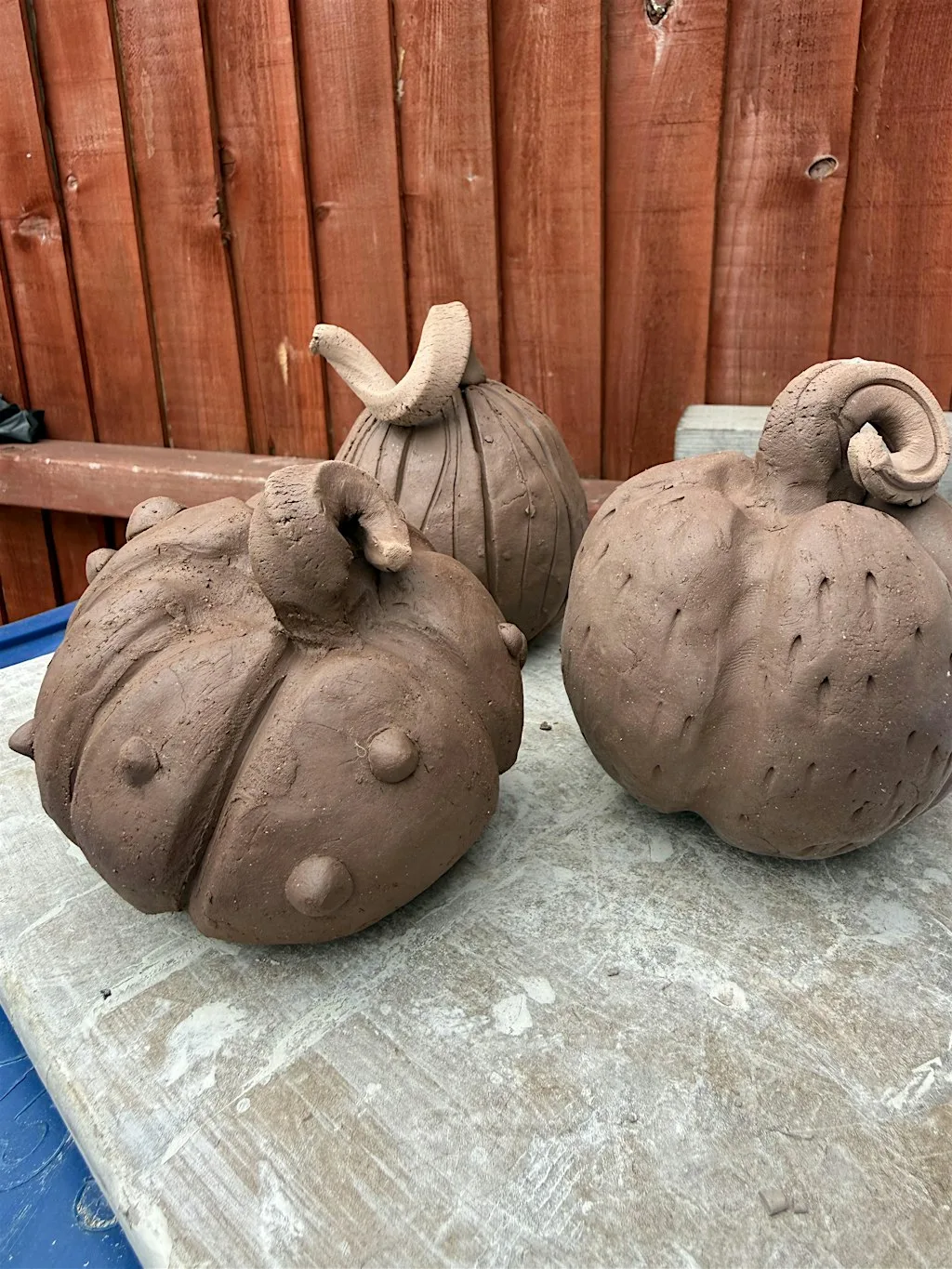 Clay Pumpkin Workshop at Attenborough Nature Reserve - Parking at ANC