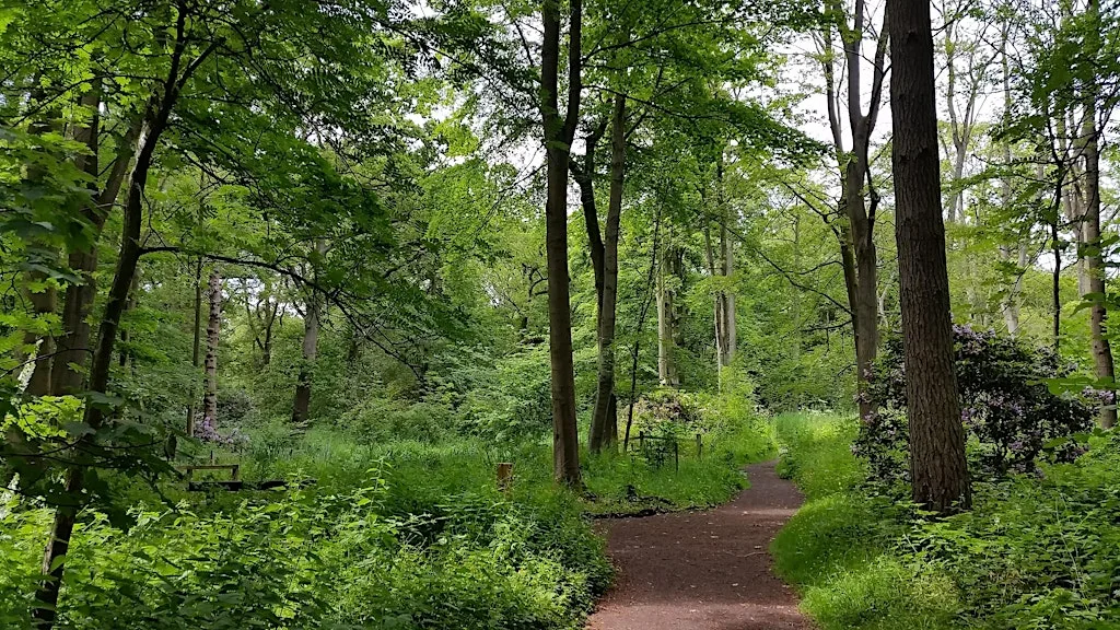 Guided Walk: Discover the Hidden Histories of Moorlands at Moorlands Woodland Nature Reserve