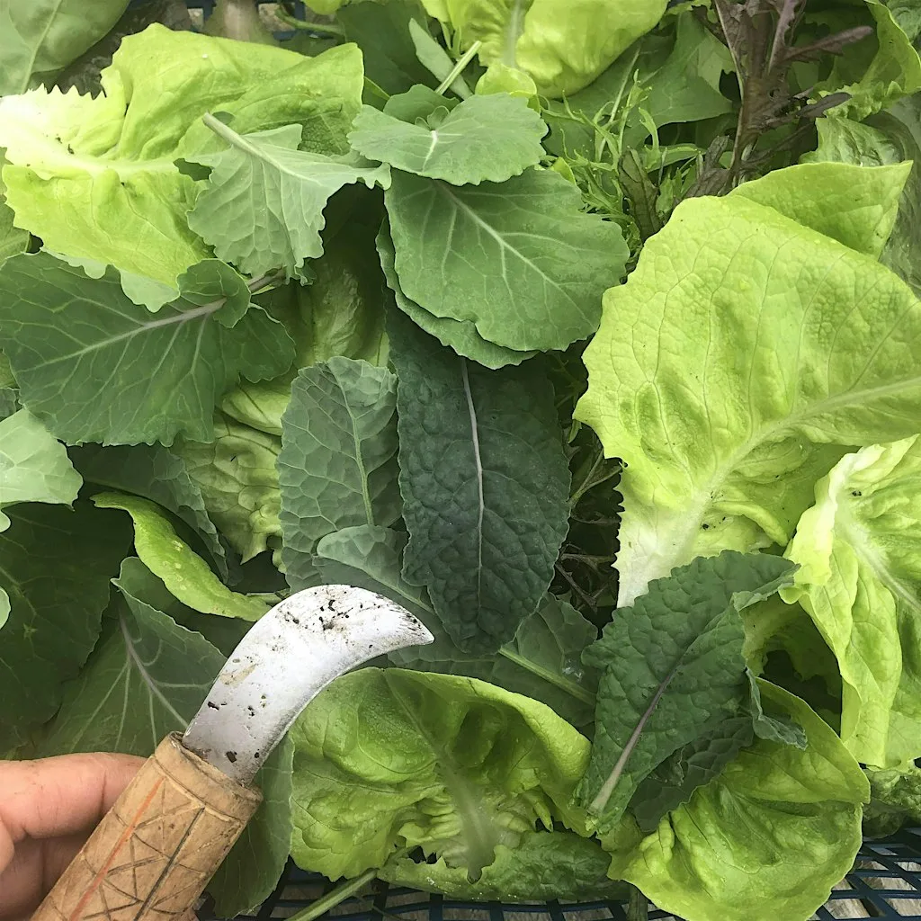 Growing Together