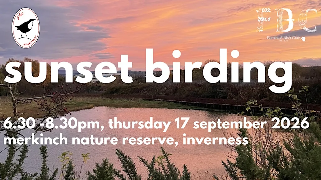 Sunset Birding