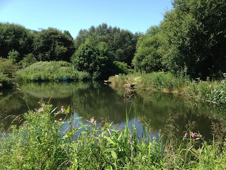 Community Walk - Burrs Country Park at Burrs Country Park Caravan and Motorhome Club Campsite