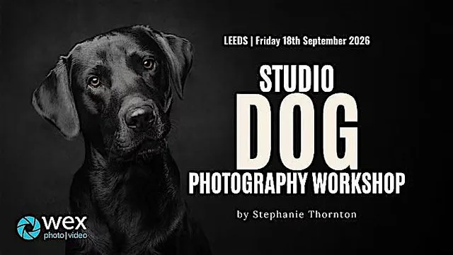 Wex Workshops: Studio Dog Photography with Stephanie Thornton | Leeds at Wex Photo Video Leeds