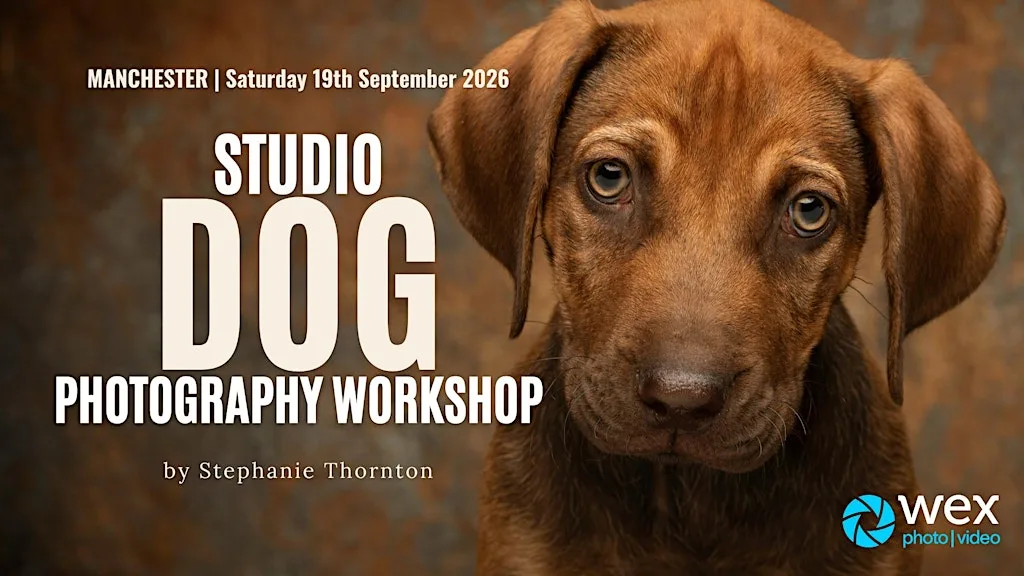 Wex Workshops: Studio Dog Photography with Stephanie Thornton | Manchester