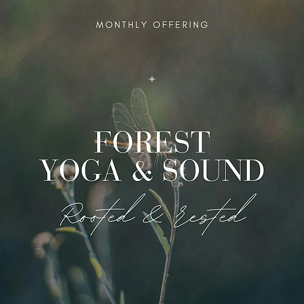 Yoga & Sound Bath in the Wyre Forest at Wyre forest discovery centre