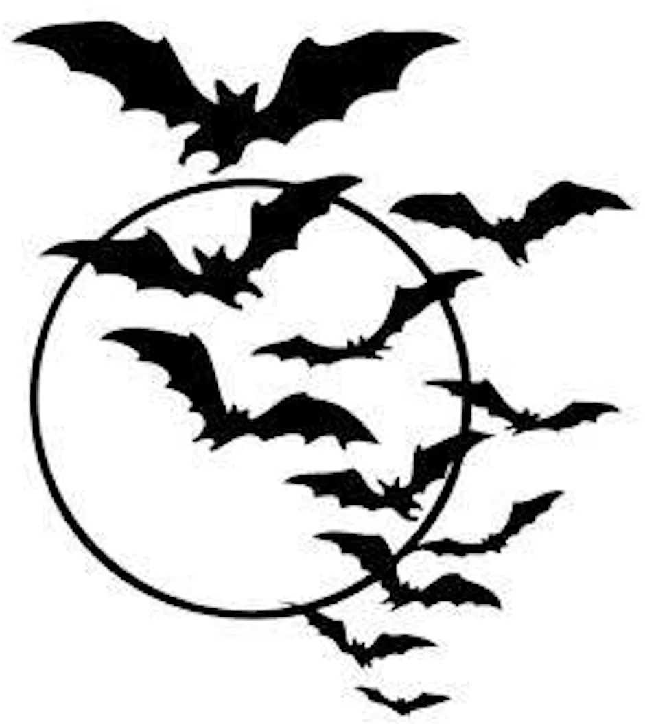 Bats! Bats! Bats! at Anagach Woods