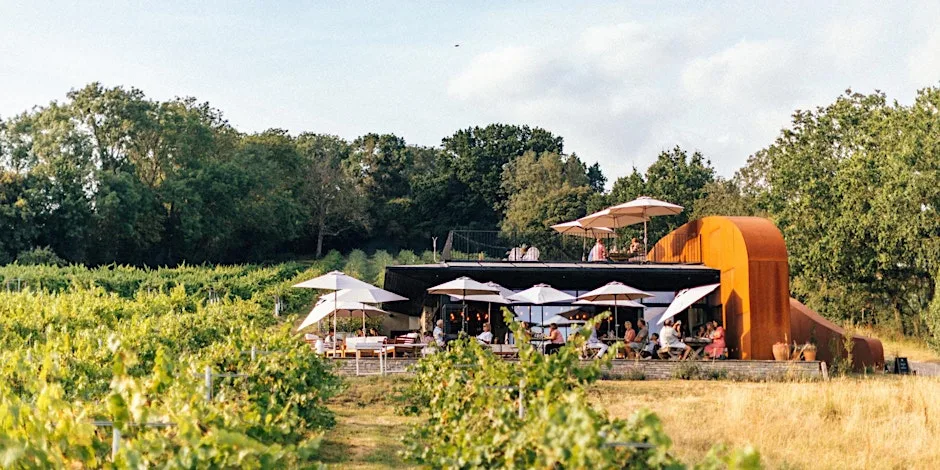 Wraxall Vineyard Harvest Festival Weekend: SATURDAY TICKET at Wraxall Vineyard & The View @ Wraxall