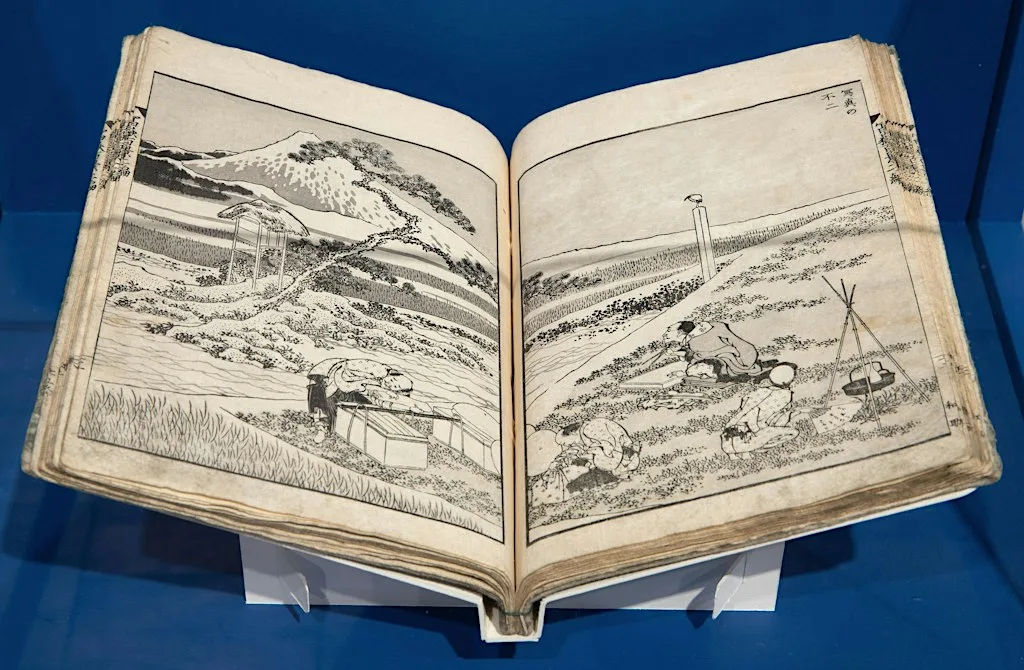 Global Samurai: Japan's Warriors across Time and Space at The Whitworth