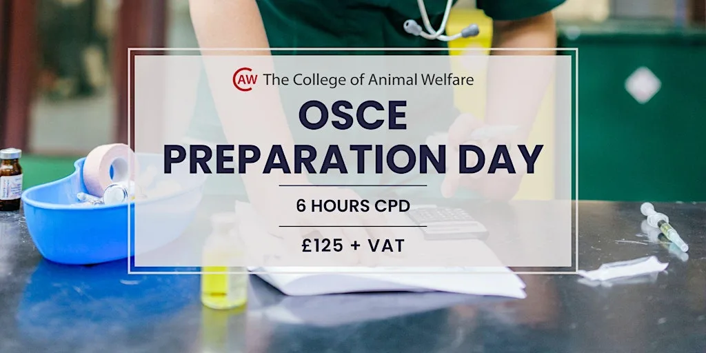 OSCE Preparation Day at The College of Animal Welfare (CAW) - Leeds Centre