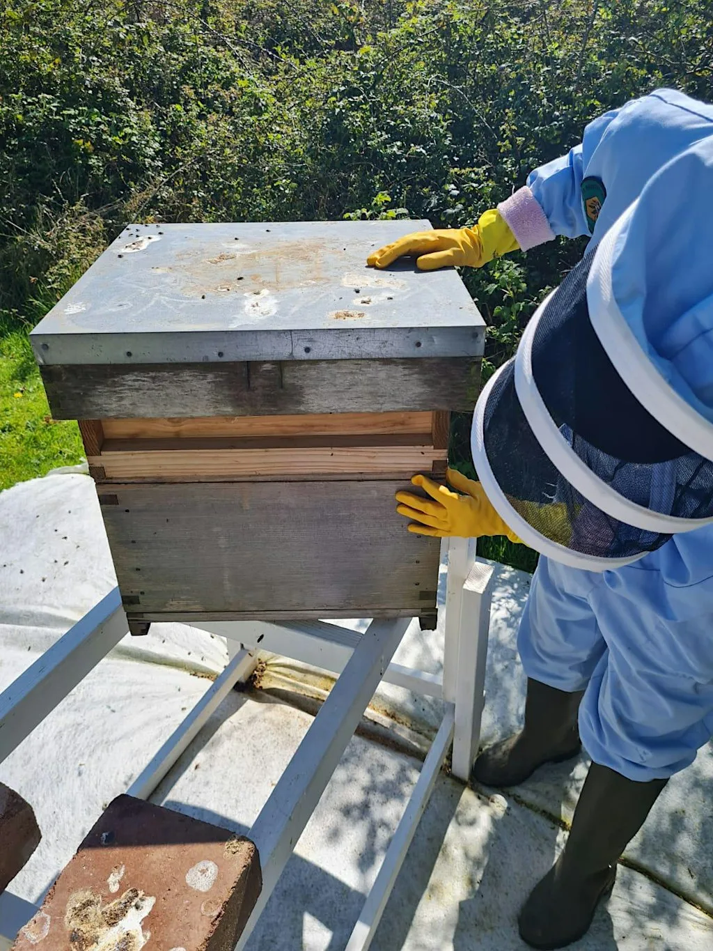 Beekeeping for beginners weekend course May 2027