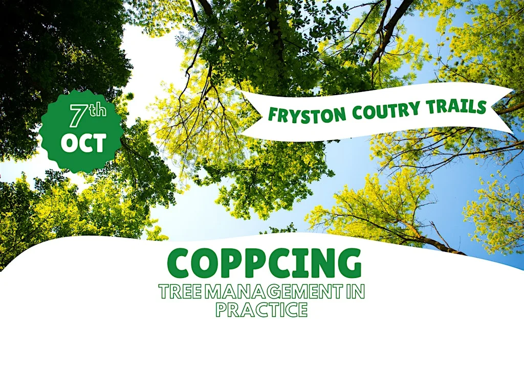 Coppicing in Practice Home Education Session at Fryston Community Centre