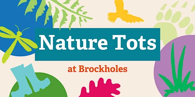 Nature Tots at Brockholes at Brockholes Nature Reserve
