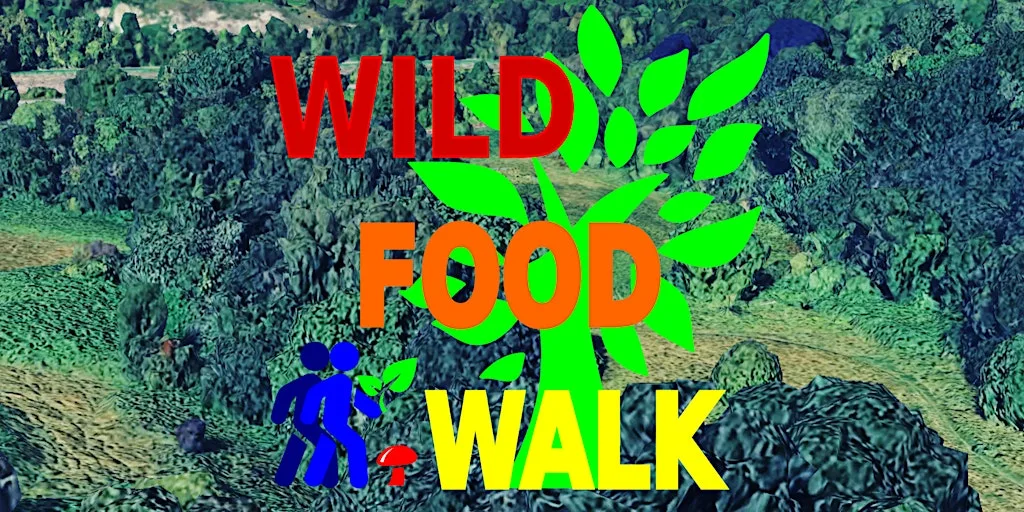 September Sea Mills (Bristol) Wild Food Foraging/ Forager Walk. at Sea Mills Train Station
