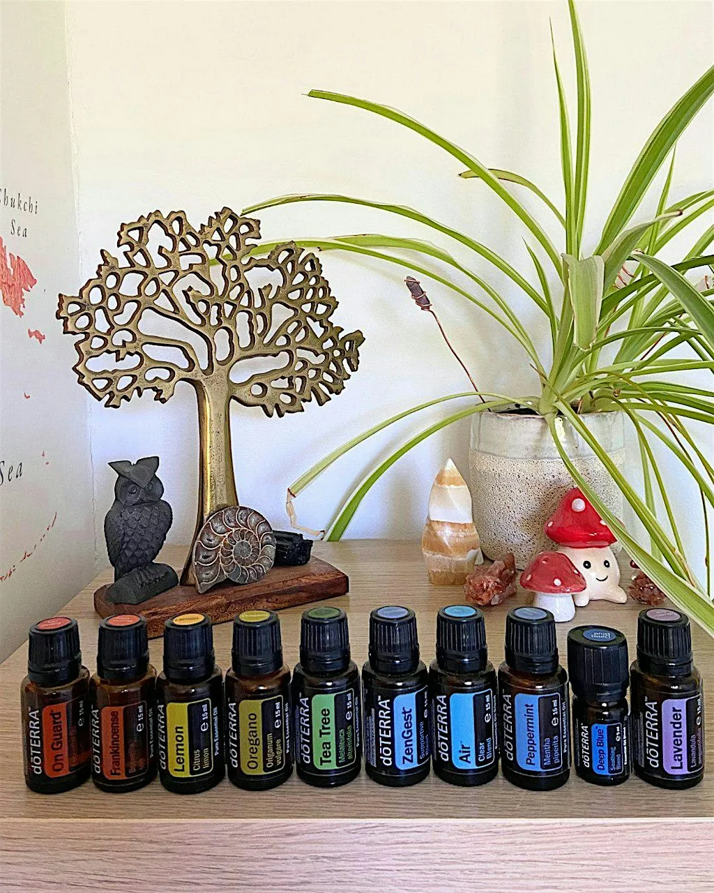 Introduction to Essential Oils Class