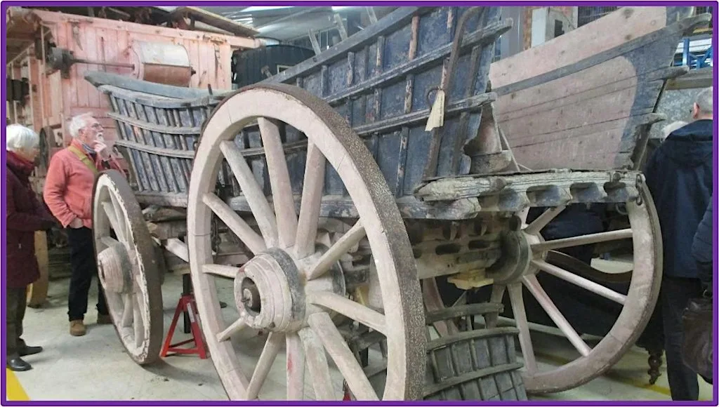 Hidden Treasures Store Tour for SLHA. Led by Sara Basquill at Museum of Lincolnshire Life