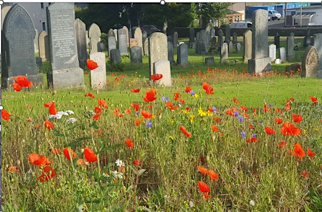 Getting to Know Your Graveyard Event at National Christian Outreach Centre - Events & Conferences