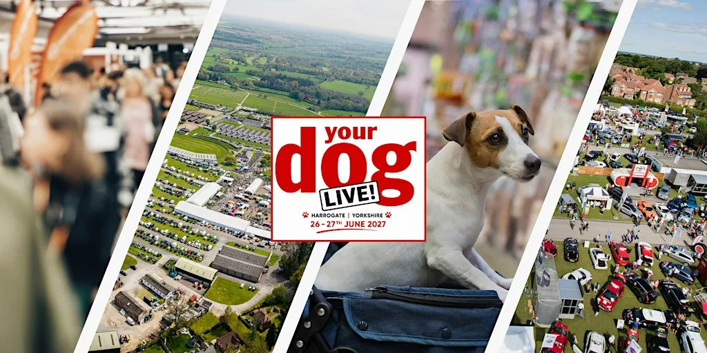 Your Dog Live 2027